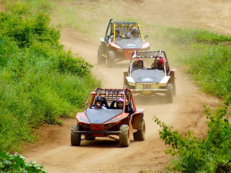 Buggy Ride