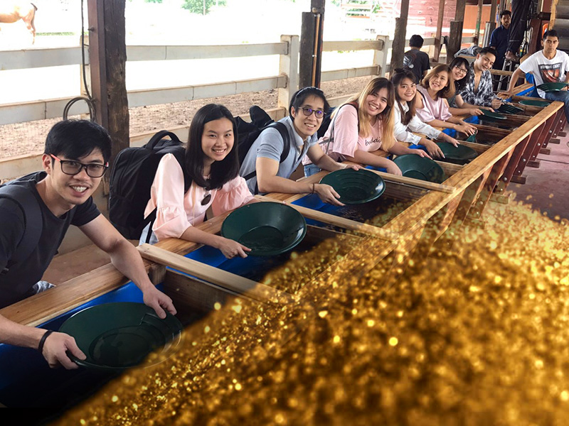 Gold Panning